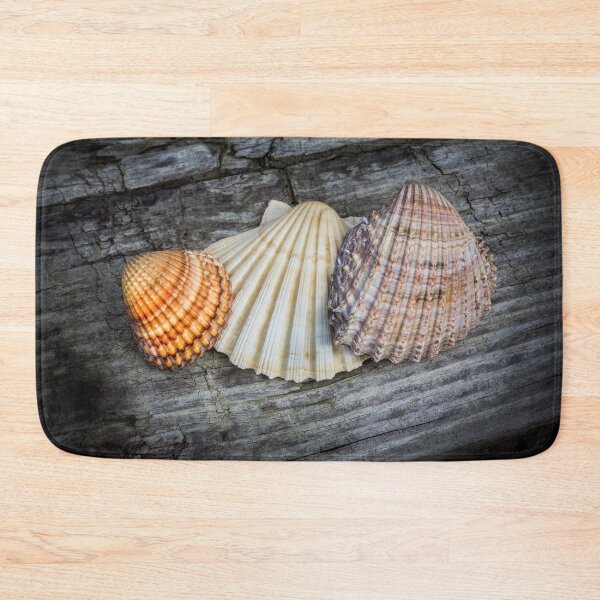Item preview, Sea Shells on Wood designed and sold by Dave Hare Photography.