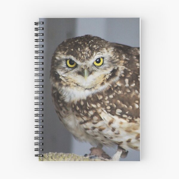Item preview, Burrowing Owl designed and sold by Alyce Taylor.