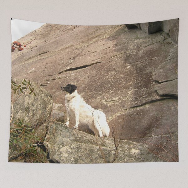 Item preview, The Magnificent Dottie designed and sold by Elizabeth "Tibby" Steedly.