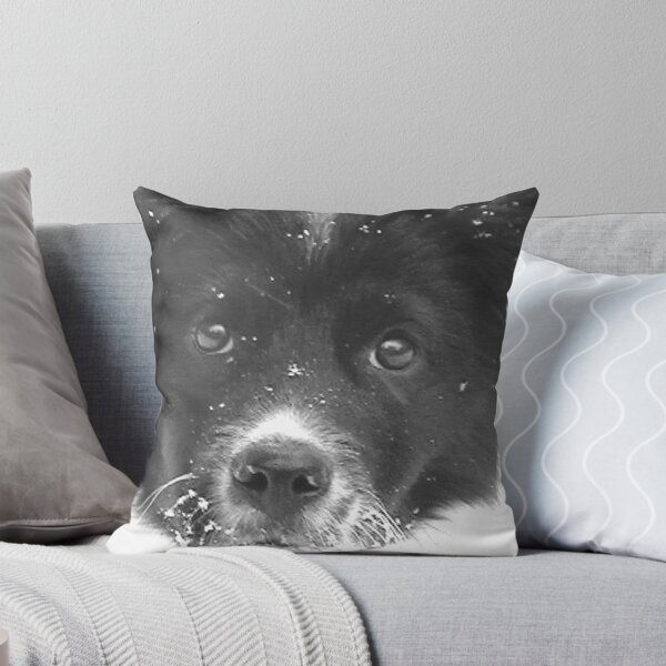 Artikelvorschau,  dass ich dachte, ich würde diesen alten hochladen, den wir vor sieben Jahren aufgenommen haben, als Dottie ihren ersten Schnee erlebte. Sie war gerade mal zwei Monate alt und gerade von einem wahnsinnigen Toben im weißen Zeug zurückgekommen! Eingelassen  entworfen und verkauft von Elizabeth "Tibby" Steedly.