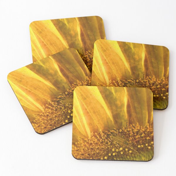 Item preview, Captured Sunlight designed and sold by Elizabeth "Tibby" Steedly.