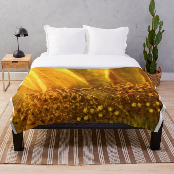 Item preview, Captured Sunlight designed and sold by Elizabeth "Tibby" Steedly.