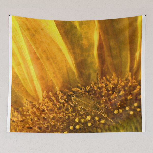 Item preview, Captured Sunlight designed and sold by Elizabeth "Tibby" Steedly.