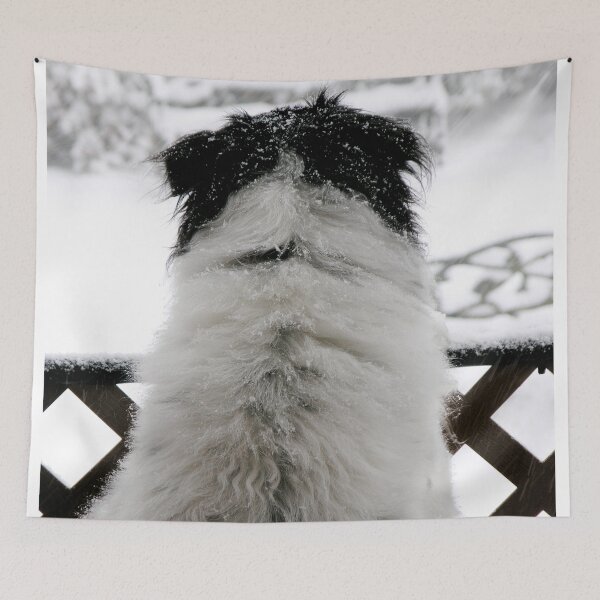 Item preview, Dottie, Snow Watcher designed and sold by Elizabeth "Tibby" Steedly.