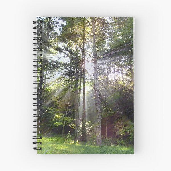 Item preview, Blessed Light designed and sold by Elizabeth "Tibby" Steedly.