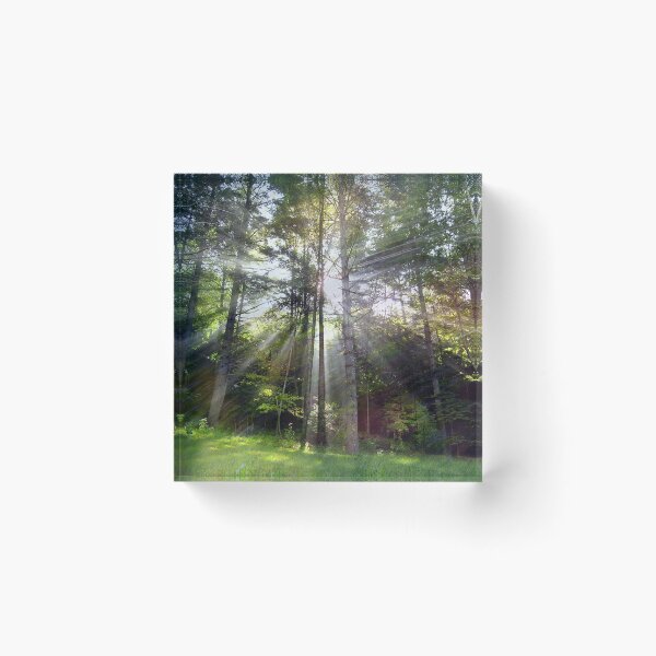 Item preview, Blessed Light designed and sold by Elizabeth "Tibby" Steedly.