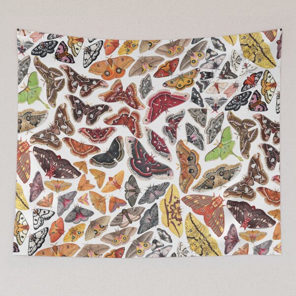 Item preview, Saturniid Moths of North America Pattern designed and sold by JadaFitch.
