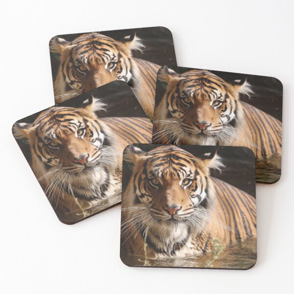 Item preview, Tiger Quench designed and sold by MelKowasic.
