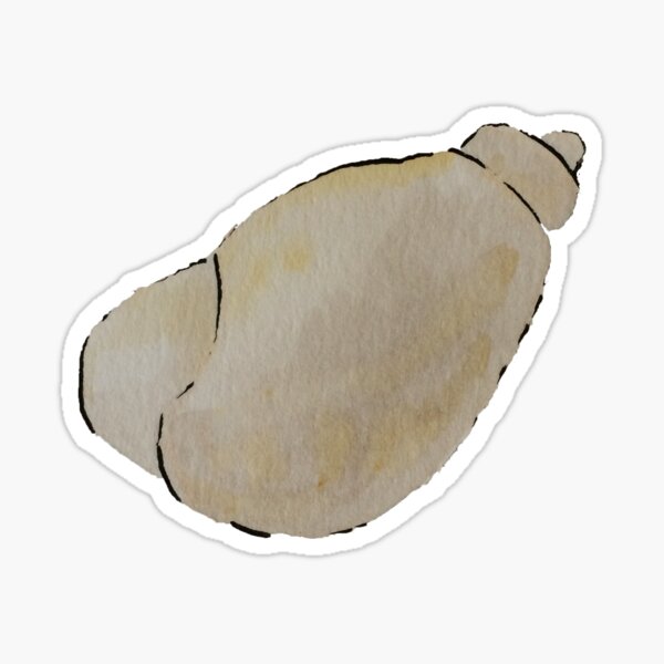 Watercolor Orange Sea Shell Sticker