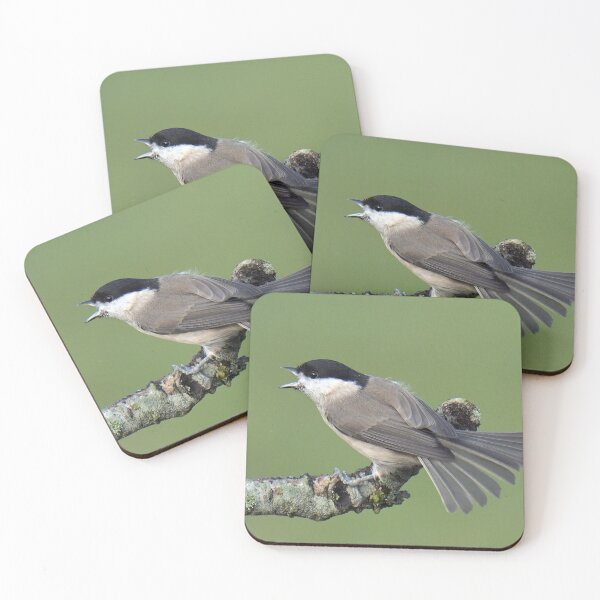 Item preview, Angry Marsh Tit designed and sold by Holmewood.