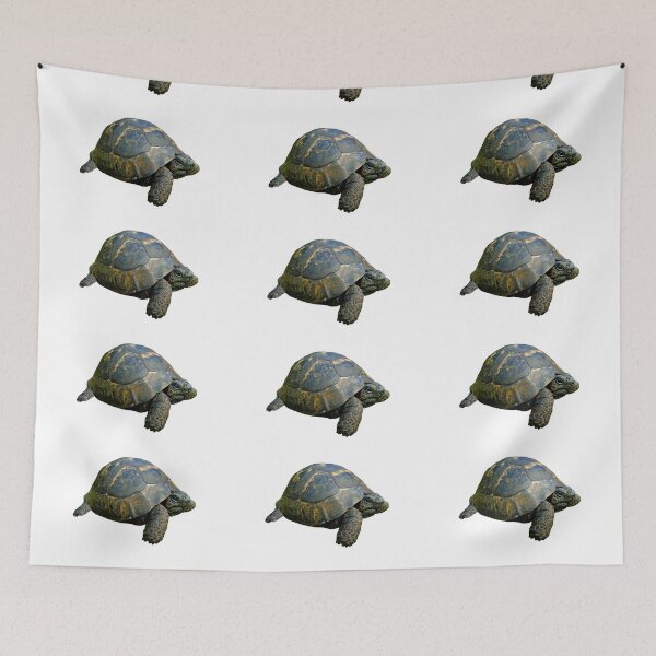 Item preview, Tortoise designed and sold by Royisaacs.