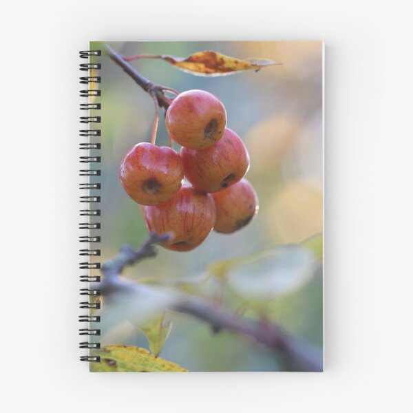 Item preview, Autumn Decoration designed and sold by cuprum.