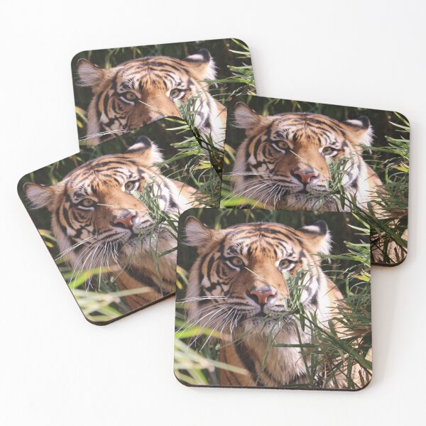 Item preview, Hidden Stripes designed and sold by MelKowasic.