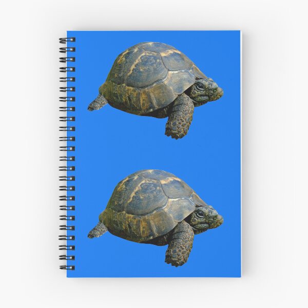 Item preview, Tortoise designed and sold by Royisaacs.