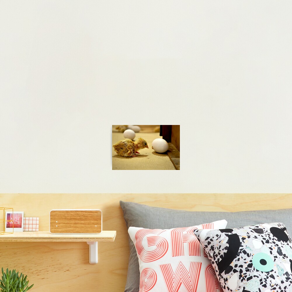 Item preview, Photographic Print designed and sold by INTERACTION.