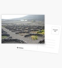 wine scape , lanzarote ,spain Postcards