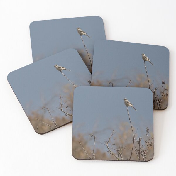 Item preview, Great Grey Shrike designed and sold by LaurenTucker.