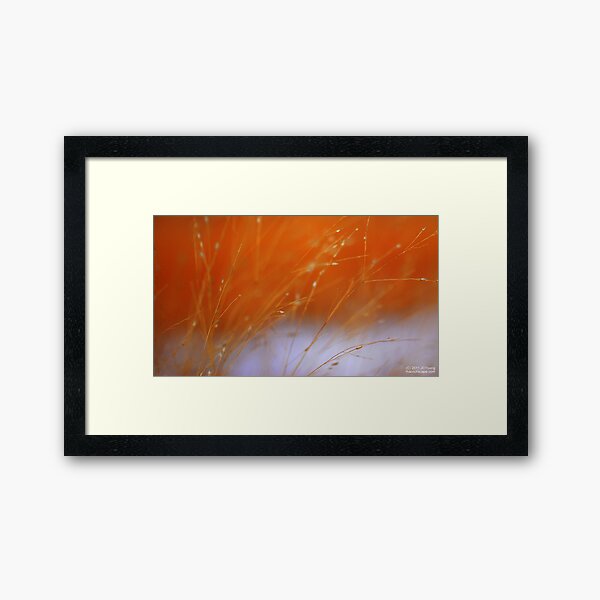 On A Primrose Path Framed Art Print