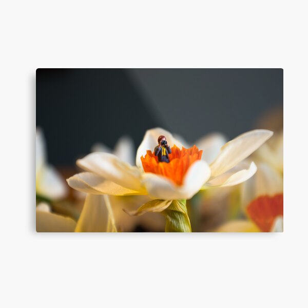 Tiny Nature Photographer Metal Print