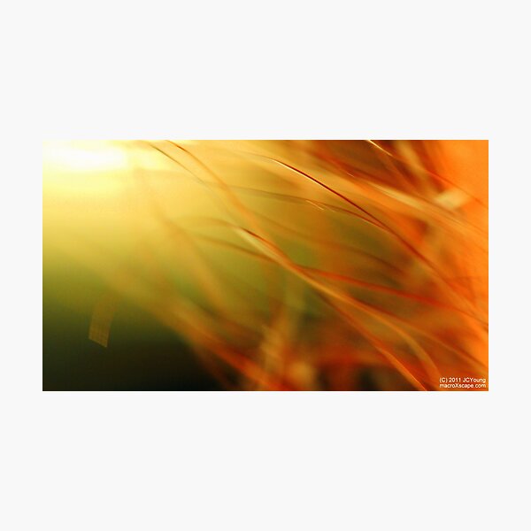 Here Comes the Sun! Photographic Print