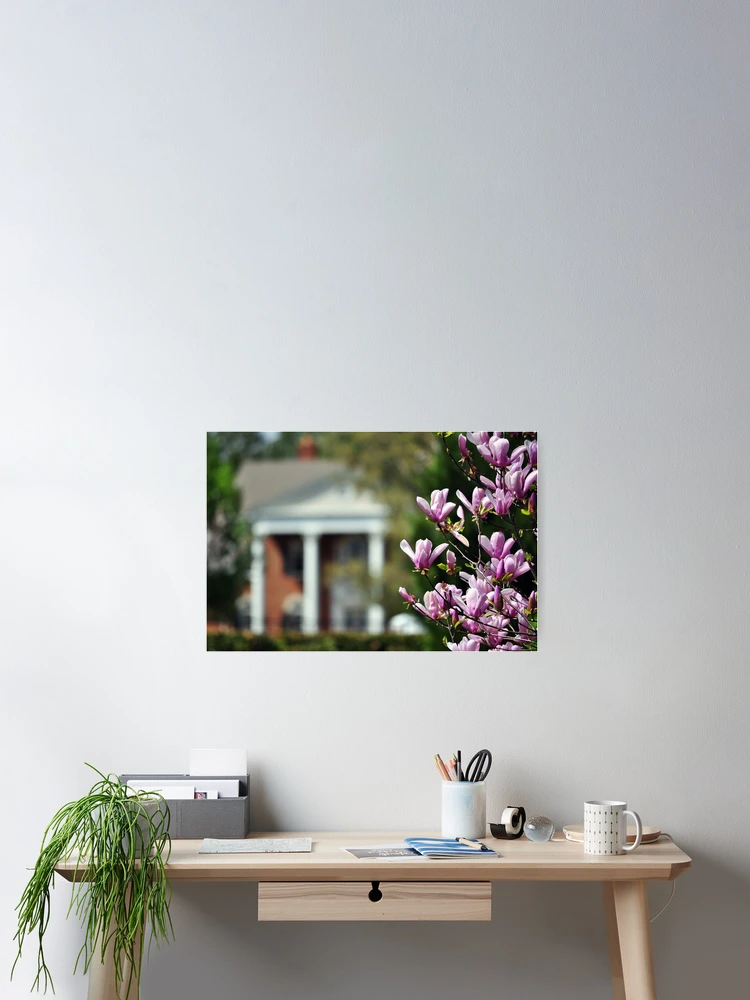 Thumbnail 2 of 3, Poster, Down South In Spring designed and sold by InGFocus.