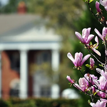 Artwork thumbnail, Down South In Spring by InGFocus