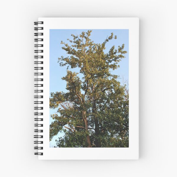 Item preview, Living Oak designed and sold by Hether McCuistion.