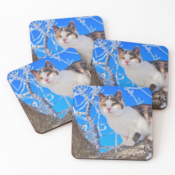 Item preview, Winter Kitten designed and sold by colorfulbundles.