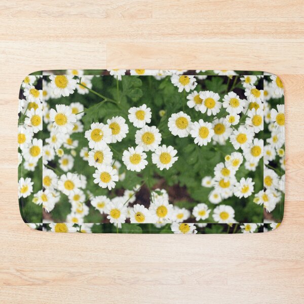 Item preview, Camomile flowers designed and sold by pinkal.