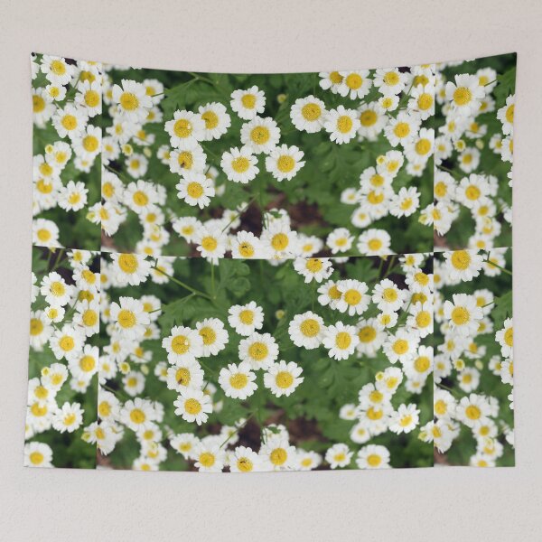Item preview, Camomile flowers designed and sold by pinkal.