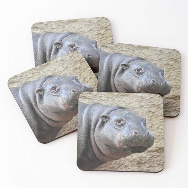 Artikelvorschau, Zwergflusspferd entworfen und verkauft von Martina Nicolls.