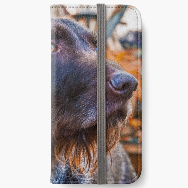 German Wirehaired Pointer Portrait iPhone Wallet