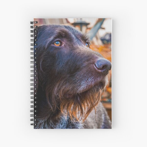 German Wirehaired Pointer Portrait Spiral Notebook