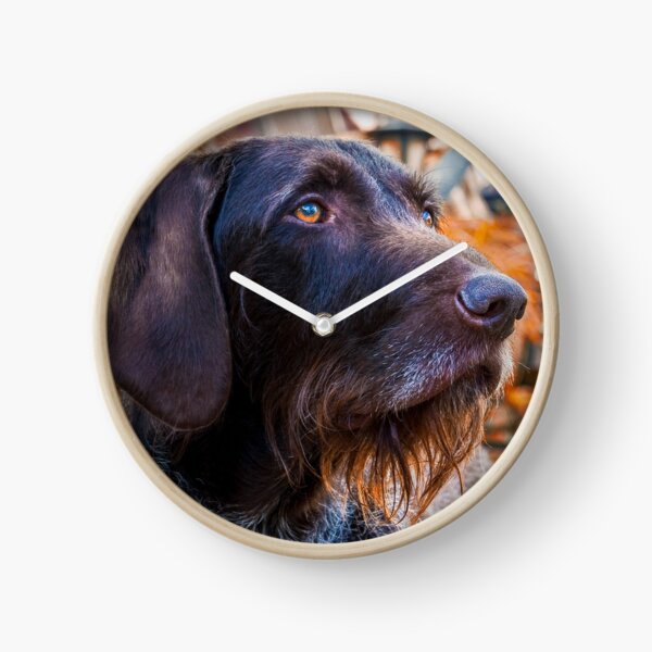 German Wirehaired Pointer Portrait Clock
