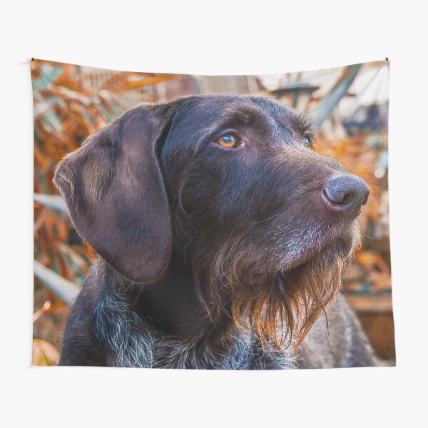 German Wirehaired Pointer Portrait Tapestry