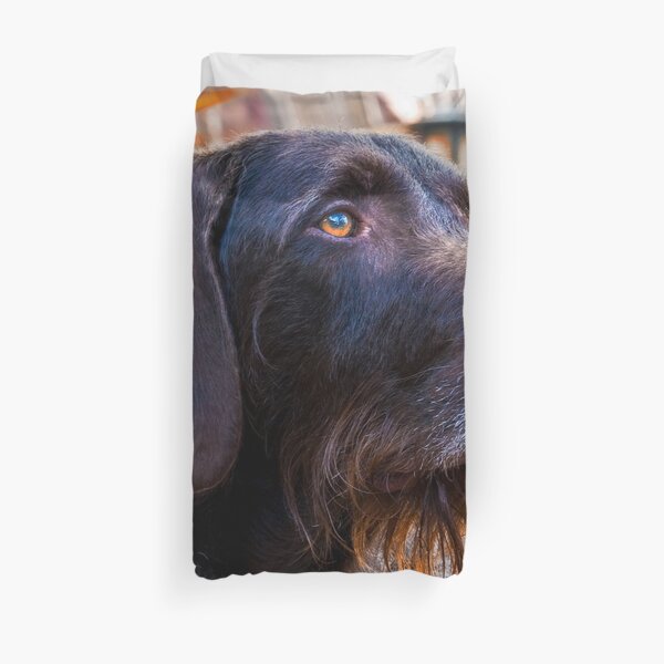 German Wirehaired Pointer Portrait Duvet Cover