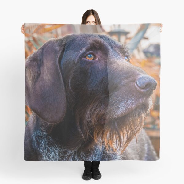 German Wirehaired Pointer Portrait Scarf