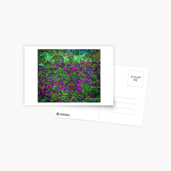 For The Purple Hearts Postcard