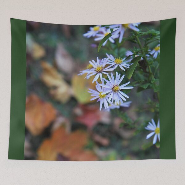 Item preview, Fighting Fall.  Daisy Survivor. designed and sold by picturedlcphoto.