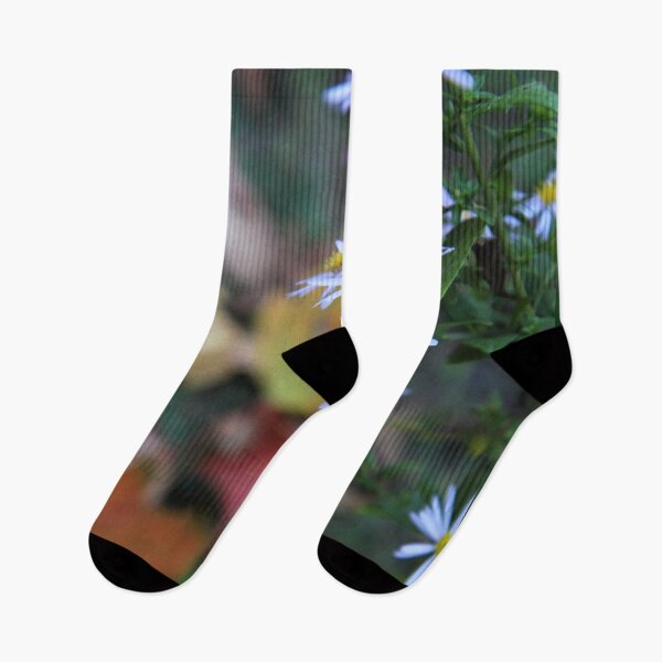 Item preview, Fighting Fall.  Daisy Survivor. designed and sold by picturedlcphoto.