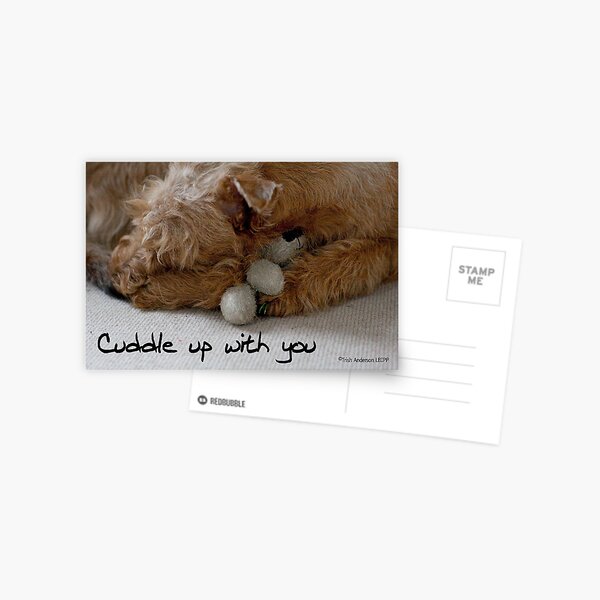 Cuddle up with you Postcard