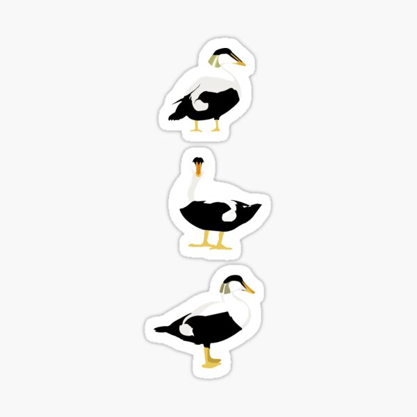 Item preview, Eider Ducks designed and sold by katherineblower.