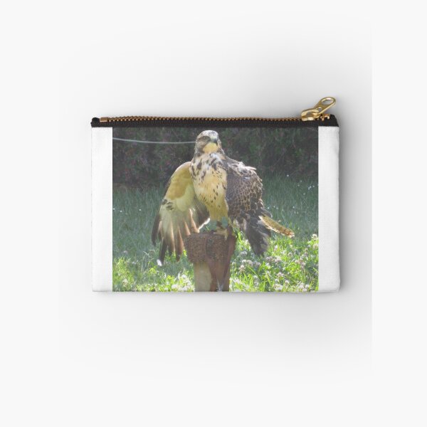 Item preview, pompous swainson's hawk designed and sold by hitomimyhomie.