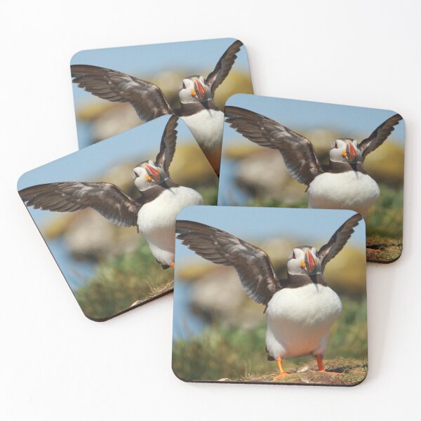 Item preview, Puffin designed and sold by Jon Lees.
