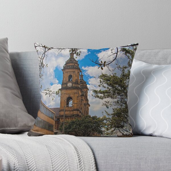 https://ih1.redbubble.net/image.969334243.2328/throwpillow,small,600x-bg,f8f8f8-c,0,120,600,600.jpg