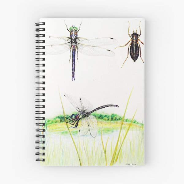 Item preview, Dragonfly Art Print designed and sold by tkraus2.