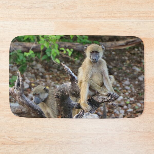 Item preview, Cheeky African baboons, Chobe, Botswana designed and sold by FranWest.