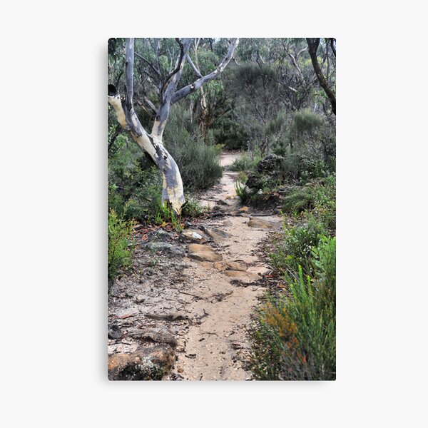 Walk This Way to Anvil Rock NSW Australia Canvas Print