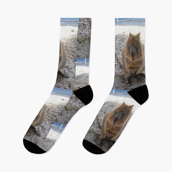 Item preview, SMILE - Quokka Rottnest Island designed and sold by Lunaqwa.