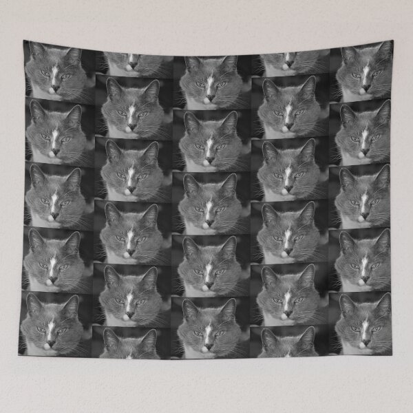 Item preview, Satine the Cat of Age and Wisdom designed and sold by Richard W J Conyard.